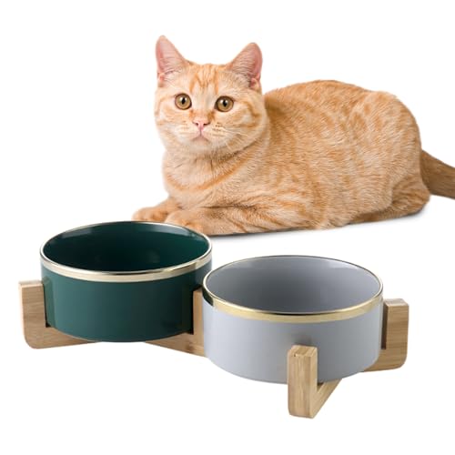 Viusneun Keramik Futternapf 2er Set mit Bambusständer - Keramik Hundenapf Katzennapf Fressnapf für Katzen und Hunde, Doppel Hund Futternapf mit goldenen Rändern (Grau/Grün,850ML) von Viusneun