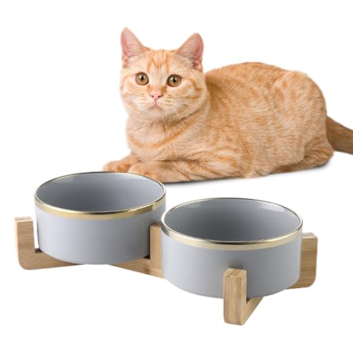 Keramik Futternapf 2er Set mit Bambusständer - Keramik Hundenapf Katzennapf Fressnapf für Katzen und Hunde, Doppel Hund Futternapf mit goldenen Rändern (Grün,400ML) von Viusneun