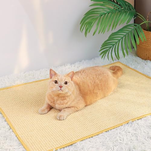 Kratzmatte Katze, Natürliche Sisal Katzenkratzbretter Widerstandsfähig Katzenmöbel Fußmatte Sisalmatte Kratzpads Schützt Teppiche und Sofas (60 x 90 cm) von Viusneun