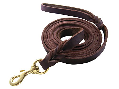 Vivi Bär geflochten aus echtem Leder Hundeleine für große/medium Hunde Hunde-K9 Verhalten Training Leine Seil 1,3 cm Breite, 8,5/6,9/5,2/Sandsackset Lange Dunkle Braun von Vivi Bear