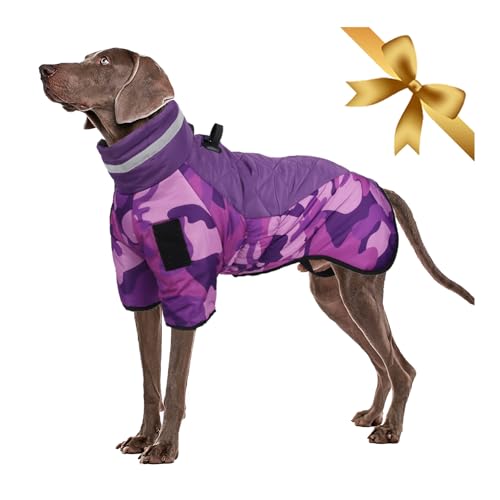 Vivi Bear Hundemantel Winter, Wasserdicht Warme Hundejacke Winddichter Hundeweste Grosse, Verstellbare Wintermantel Hund mit Geschirr D-Ring & Reflektierender Entwurf, Lila 6XL von Vivi Bear