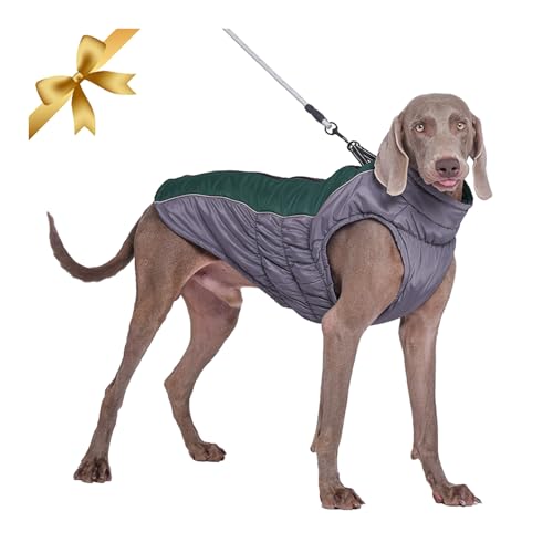 Vivi Bear Hundemantel Winter, Wasserdicht Warme Hundejacke Winddichter Hundeweste für Mittlere Grosse Hunde, Verstellbare Wintermantel Hund mit D-Ring & Reflektierender Entwurf, Grün XXXL von Vivi Bear