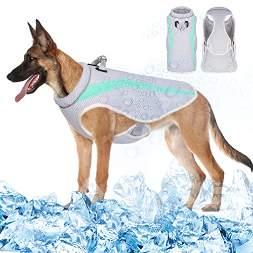 Vivi Bear Kühljacke Hund, Hundesumpfkühler Atmungsaktive Weste, Hundekühlweste, Kühlendes Hundegeschirr, Dog Cooling Vest, Kühljacke für Hunde, für Aktivitäten draußen, Wandern, Training (Grün, S) von Vivi Bear