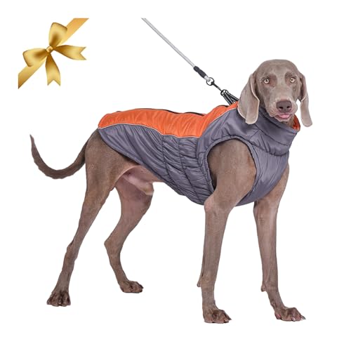 Vivi Bear Wasserdichter Hundemantel Winter Warme Hundejacke, Hundebekleidung Outfit für Mittel Große Hunde, Hundeweste Skibekleidung mit Sicheren Reflexstreifen und D-Ring, Orange XL von Vivi Bear