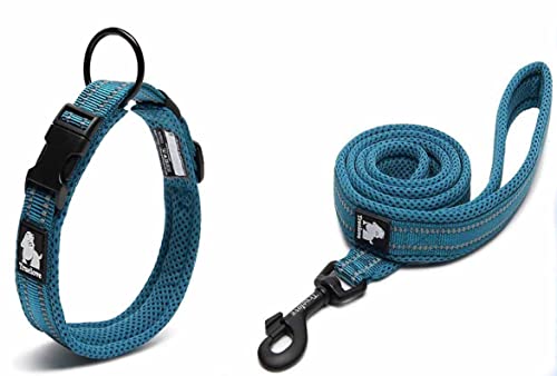 Vivi Bear gepolstertes, weiches, atmungsaktives Mesh-Hundehalsband mit 3M-Reflexstreifen Bequemes und weiches, verstellbares Halsband für kleine/mittlere und große Hunde von Vivi Bear