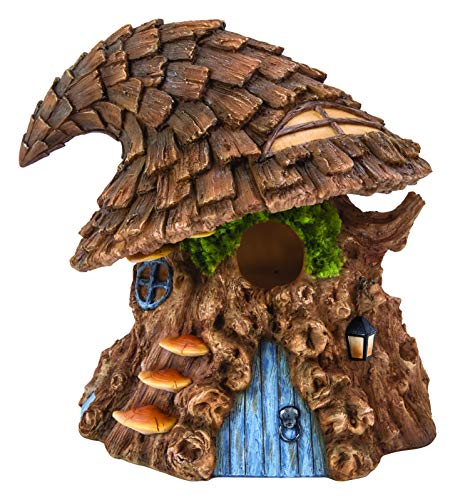 Hexenhut Baum Vogelhaus von Vivid Arts