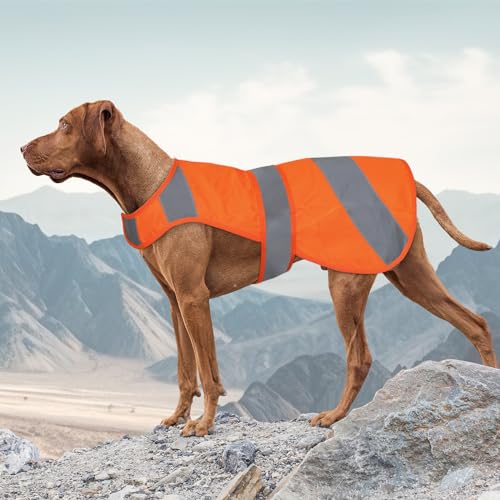 Orange Hundeweste Hohe Sichtbarkeit Sicherheit, Hund Jagdweste, Hundejacke Weich Verstellbar, Reflektierende Hundeweste für Kleine Mittlere Große Hunde von Vizbrite