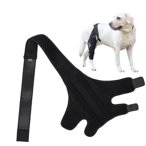 Vjeybv Kniebandage für Hunde – Ellenbogen-Bandage, Knie-Wegfahrsperre, Beinbandagen für Hunde, Beinbandagen zur Unterstützung, Haustier-Kniebandage, Hunde-Beinbandage, Haustier-Beinbandage von Vjeybv