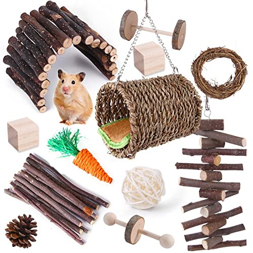 Vklopdsh Kauspielzeug für Rennmäuse, Ratten, Meerschweinchen, Kauspielzeug, Zubehör, Zahnpflege, Backenzahnspielzeug für Kaninchen, 12 Stück von Vklopdsh