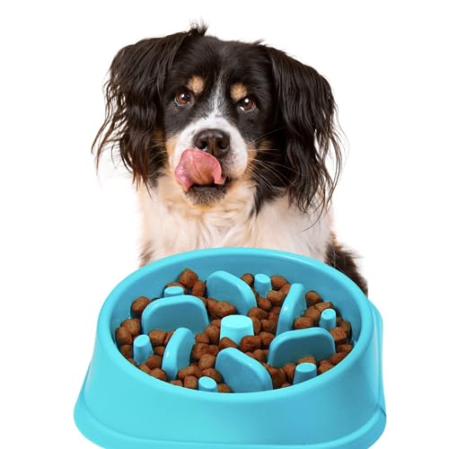 Langsamer Futternapf von VluePet – Erhöhen Sie die Mahlzeit Ihres Hundes mit gesünderem Essen, langsamer Fütterung und spielerischem Engagement von Vlue Pet