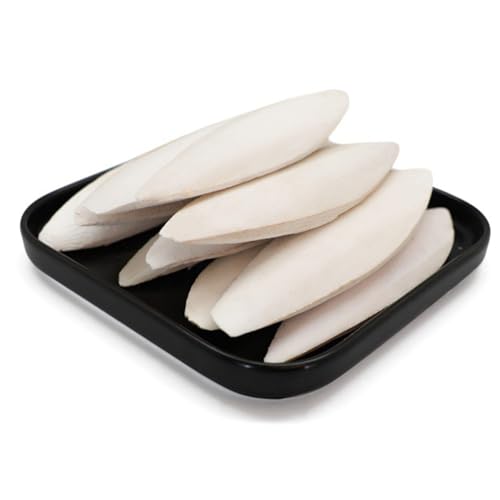 Cuttlebone für Vögel, natürlicher Tintenfischknochen für , Käfige, Vögel, Kauspielzeug, Haustiernahrungsbedarf, Kuschelknochen, Schildkröten, , Hamster Cuttlebone für Vögel, natürlicher Tintenfischknochen für , Käfige, Vögel, Kauspielzeug, Haustiernahrungsbedarf, Kuschelknochen, Schildkröten, , Hamster von Vmiorzq
