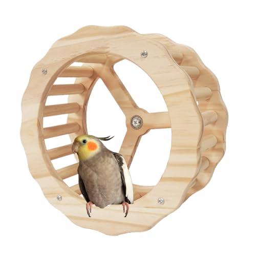 Sittich-Trainingsrad, Vogel-Rennräder, Holzvogel-Spielzeug-Rad, Kauschnabel-Übungsräder für Lovebird Nymphensittiche Sittiche Sittiche Sittich-Trainingsrad, Vogel-Rennräder, Holzvogel-Spielzeug-Rad, Kauschnabel-Übungsräder für Lovebird Nymphensittiche Sittiche Sittiche von Vmiorzq