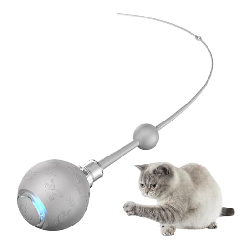 Vmiorzq Elektrische Katzenball | 3 Modi Automatischer Bewegungsball Mit Schwanz | Elektrisches Rollspiel Mit Schwanz Für Geistige Anregung Jagdtraining Aufladbar Vmiorzq Elektrische Katzenball | 3 Modi Automatischer Bewegungsball Mit Schwanz | Elektrisches Rollspiel Mit Schwanz Für Geistige Anregung Jagdtraining Aufladbar von Vmiorzq
