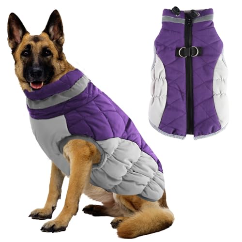 Voarge Hundemantel Winter,Hundejacke mit Geschirr,Warme Hundeweste mit Reflektierend, Kaltes Wetter Winter Warme Jacke für Kleine Mittlere Große Hunde (Lila, L) von Voarge