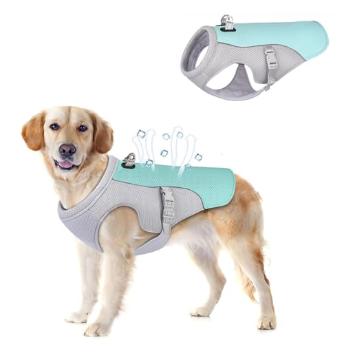 Voarge Puppy Summer Cool Vest, Cool Jacket, Atmungsaktive Mesh Hundeweste für große Hunde, mittlere Hunde, kleine Hunde, Grasgrün (L) von Voarge