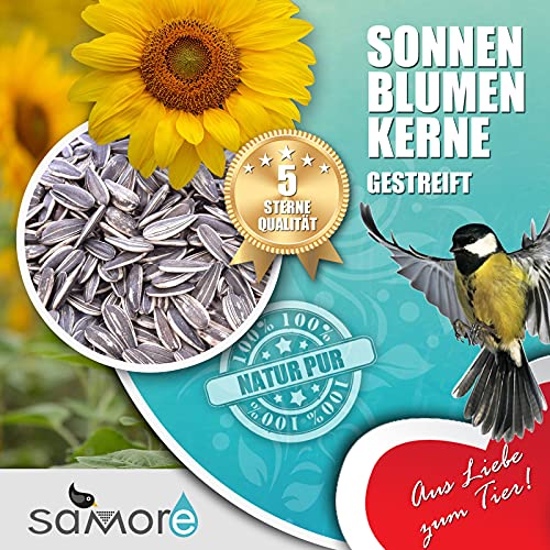 Vogelfood erstklassige Sonnenblumenkerne gestreift eine Marke der Samore von vogelfood wir sind gut zu Vögeln