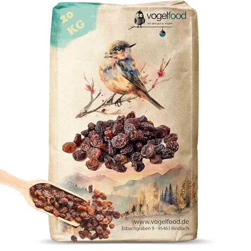 Vogelfood 20 kg Rosinen Futterrosinen Marke Vogelfood Futter Vögel Meisen Wildvögel Top Qualität von vogelfood wir sind gut zu Vögeln