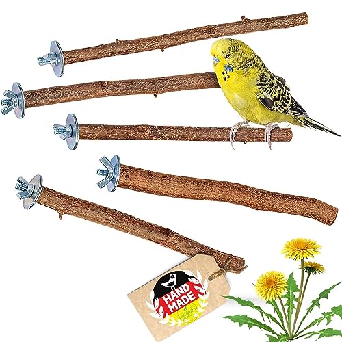 Vogelgaleria® 5 herrliche Natur Sitzstangen für Vögel wie Wellensittich, Nymphensittich, Kanarienvogel, Agaporniden | Naturholzstangen für den Vogel als wichtiges Vogelzubehör im Vogelkäfig | Zubehör von Vogelgaleria