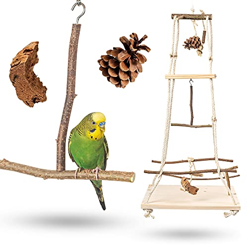 Vogelgaleria® Atemberaubender Vogelspielplatz hängend mit vielen Sitzstangen ! Tolles Vogelspielzeug für Wellensittich, Nymphensittich & Co. von Vogelgaleria