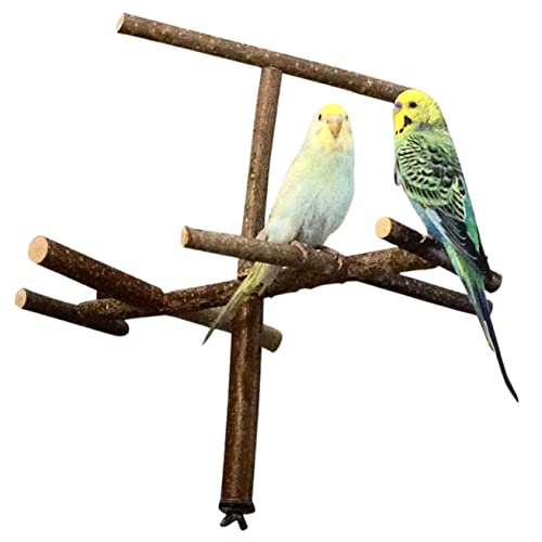 Vogelgaleria® Käfigantenne, Cooles Vogelspielzeug als Anflugstange oder Sitzplatz aus Naturholz von Vogelgaleria