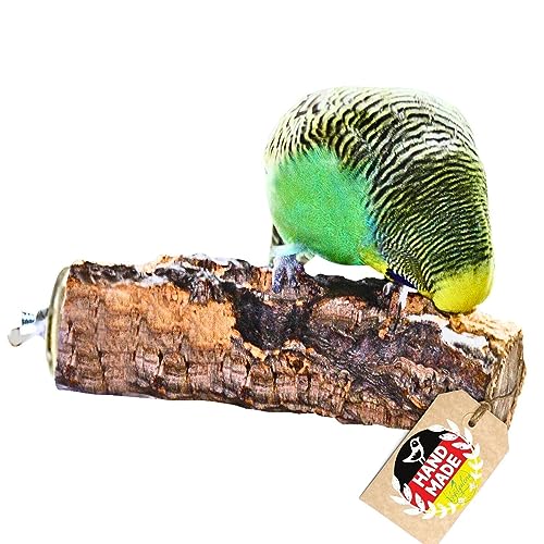 Vogelgaleria® Korksitzstange Wellensittich Nymphensittich 10cm| Kork Sitzstange mit herrlicher Korkrinde zum Sitzen und Knabbern | Vogelsitzstange und Vogel Stange für Krallenpflege | Korksitzbrett von Vogelgaleria