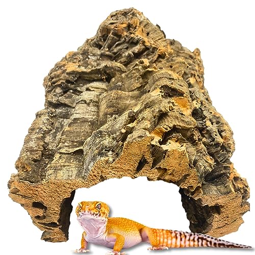 Vogelgaleria® Korktunnel 30cm aus natürlicher, gereinigter Korkrinde - die besonders beliebte Korkröhre für Kleintiere und Reptilien - Terrarium Deko Höhle von Vogelgaleria