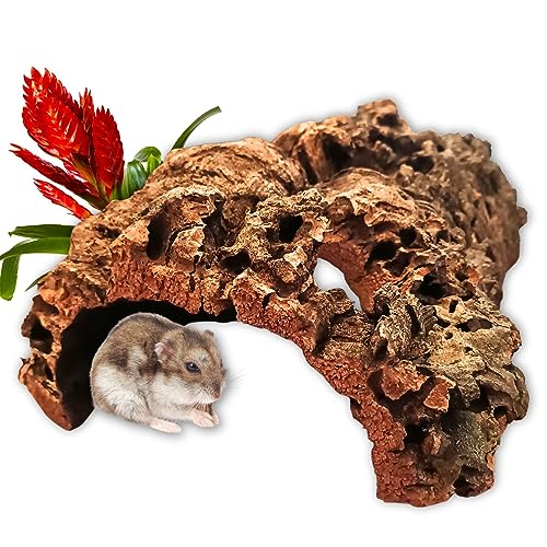 Vogelgaleria® Korktunnel 30cm aus natürlicher, gereinigter Korkrinde mit 2 Löchern - die besonders beliebte Korkröhre für Kleintiere und Reptilien - Terrarium Deko Höhle von Vogelgaleria