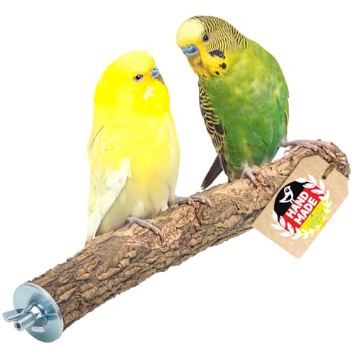 Vogelgaleria® Leckere Korksitzstange Wellensittich Nymphensittich 20cm| Kork Sitzstange mit Korkrinde zum Sitzen und Knabbern | Vogelsitzstange und Vogel Stange für Krallenpflege | Korksitzbrett von Vogelgaleria