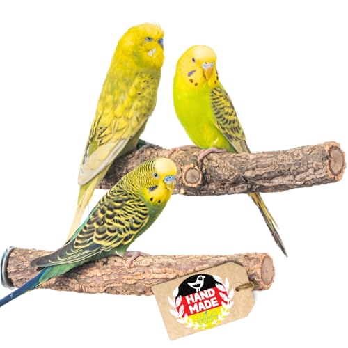 Vogelgaleria® 2er Korksitzstange Wellensittich Nymphensittich 20cm| Kork Sitzstangen mit Korkrinde zum Sitzen und Knabbern | Vogelsitzstange und Vogel Stange für Krallenpflege | Korksitzbrett von Vogelgaleria