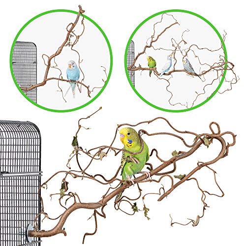 Vogelgaleria® 3 verschnörkelte Korkenzieherhasel Action Sitzstangen - das perfekte Vogelzubehör für Ihren Vogelkäfig von Vogelgaleria