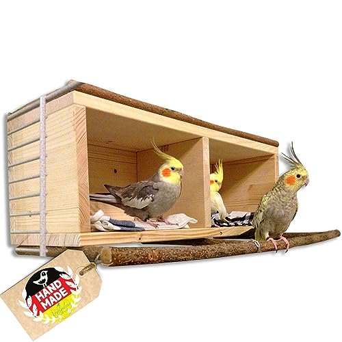 Vogelgaleria® Großes Vogelhaus Nymphensittich, Agaporniden, Wellensittich Naturholz Vogelkasten Schlafhaus von Vogelgaleria