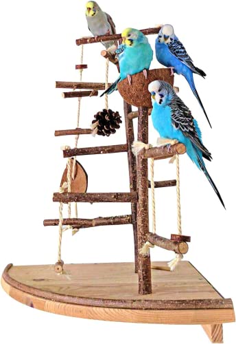 Vogelgaleria® Premium Vogelspielplatz groß für die Wand-Montage | 2 abnehmbare Natur Kletterbäume aus Holz, Kokosnuß Futternapf, Schaukel | Ideales Vogelzubehör für Wellensittiche Nymphensittich von Vogelgaleria