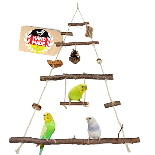 Vogelgaleria® Vogelspielplatz Vogelschaukel aus Naturholz | XXL Wellensittich Schaukel | kleines Papageienspielzeug | Wellensittich Spielzeug Nymphensittich | Wellensittich Spielplatz hängend von Vogelgaleria