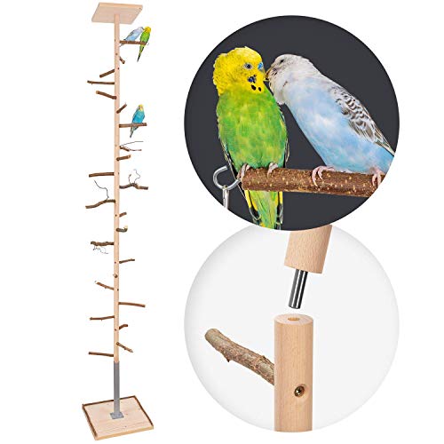 Vogelgaleria® Zimmerhoher Vogel-Kletterbaum 193-195 cm HiFly Basic mit Naturholz-Sitzstangen Vogelspielzeug Vogelschaukel Vogelspielplatz Freisitz Freiflug Landeplatz für Wellensittich Nymphensittich von Vogelgaleria