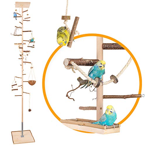 Vogelgaleria® Zimmerhoher Vogel-Kletterbaum 277-279 cm HiFly Medio mit Naturholz-Sitzstangen Vogelspielzeug Vogelschaukel Vogelspielplatz Freisitz Freiflug Landeplatz für Wellensittich Nymphensittich von Vogelgaleria