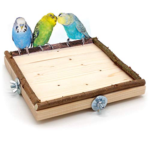 Vogelgaleria® Eck Sitzbrett 20x20cm mit Natur Holz Bordüre für Vögel wie Nymphensittich Wellensittich Kanarien etc | Bestes Käfig Zubehör Vogelsitzbrett Sitzbrett inkl. Befestigungsmaterial von Vogelgaleria