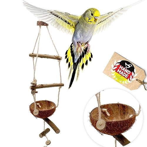 Vogelgaleria® Vogelspielplatz für Wellensittich Nymphensittich Vogelschaukel Vogelspielzeug Kokosnuss von Vogelgaleria