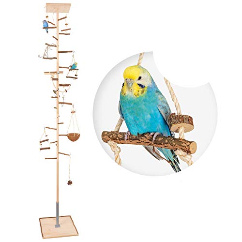 Vogelgaleria® Zimmerhoher Vogel-Kletterbaum 208-210 cm HiFly Medio mit Naturholz-Sitzstangen Vogelspielzeug Vogelschaukel Vogelspielplatz Freisitz Freiflug Landeplatz für Wellensittich Nymphensittich von Vogelgaleria