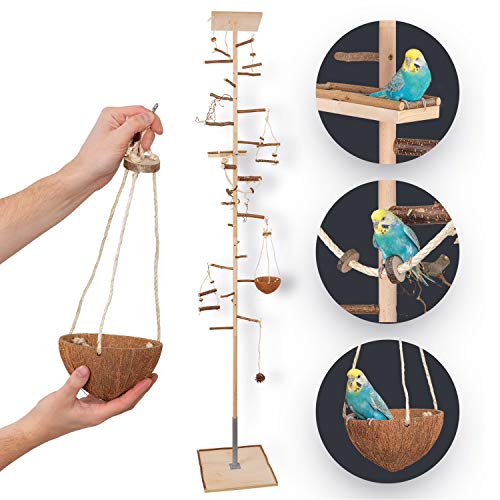 Vogelgaleria® Zimmerhoher Vogel-Kletterbaum 223-225 cm HiFly Medio mit Naturholz-Sitzstangen Vogelspielzeug Vogelschaukel Vogelspielplatz Freisitz Freiflug Landeplatz für Wellensittich Nymphensittich von Vogelgaleria