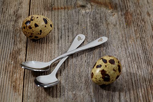 Vogelsberger Wachtelzucht Löffel für Wachteleier mit Gravur - 1 Stück - Edelstahl - Modisch - Quail Egg Spoon von Vogelsberger Wachtelzucht