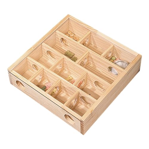 Hamsterspielzeug Labyrinth, Mäuse aus , lustiges Spielzeug – Hamsterspielzeug, Rennmäuse, lustiges Holzspielzeug, kleine Haustiertiere, Aktivität für kleine pelzige Tiere und Zwerghamster von Voihamy