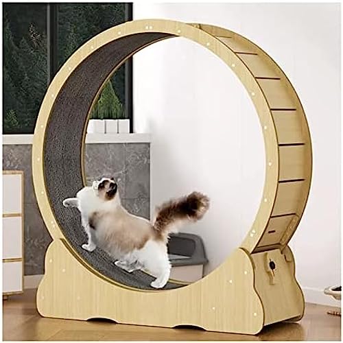 Katzenlaufrad, Katzenlaufrad, Katzenlaufband Mit Integriertem Rad, Hilft Katzen Beim Abnehmen Oder Halten, 4 Größenoptionen Verfügbar,M-90X100cm,Hilarious123 von Volu