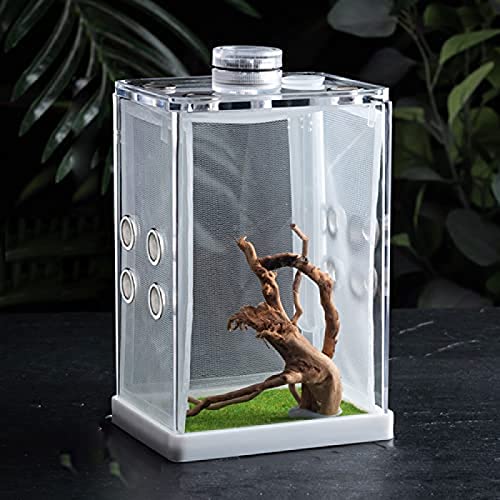 Mini-Terrarium, Reptilien-Aufzuchtbox, Transparenter Acryl-Reptilienkäfig, Lebensraum, Insekten-Futterbox, Kletter-Haustier-Beobachtungsbox Mit Mini-Lampe, Kletterwurzel Für Eidechse, Skorpion, Go von Volu