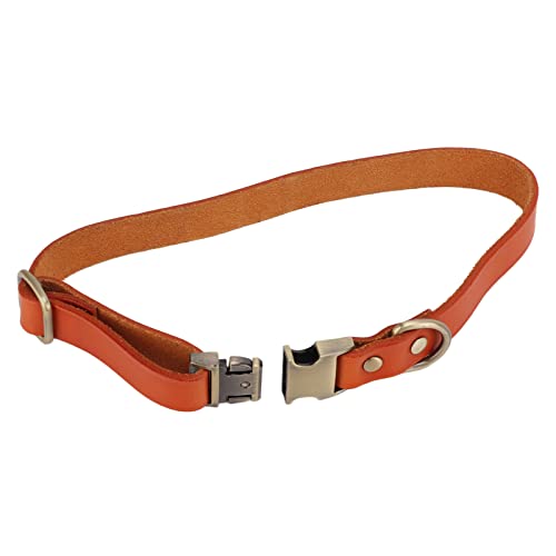 Leder Gepolstertes Hundehalsband, Atmungsaktiv Soft Touch Wasserdicht Modisch Klassisch Gepolstertes Leder Hundehalsband Klar mit gravierter Schnalle für Hunde für Katzen(Orange, m) von Voluxe