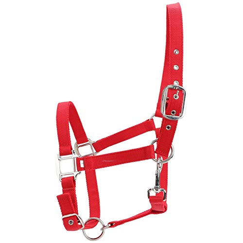 Voluxe Pferdezaumzeug, hochzuverlässiges Schnallendesign 1 PCS Rot Verstellbares Pferdehalfter, 6 mm Dicke PP Reiten für Pferde von Voluxe