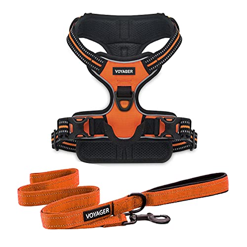 Best Pet Supplies Best Pet Supplies Voyager Hundegeschirr und Leine, Doppelbefestigung, für den Außenbereich, Orange, Größe S (Brustumfang: 43,2–55,9 cm) von Voyager