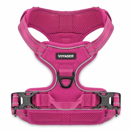 Voyager Hundegeschirr ohne Ziehen, für mittelgroße Hunde, doppelte Leinenbefestigungen, verstellbar, weich, Aber stark, mit 3M-Reflextechnologie, Fuchsia-Nylon, Größe M (Brustumfang: 50,8–63,5 cm) von Voyager