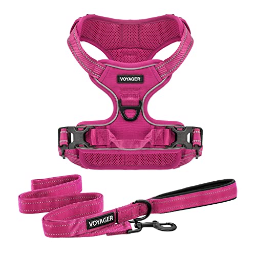 Voyager Hundegeschirr Doppelleine Befestigung No-Pull Control Verstellbar Weich Aber Stark Haustiergeschirr für Mittlere und Große Hunde mit 3M Reflektierende Technologie - Geschirr Leine Set (Fuchsia), XL von Voyager