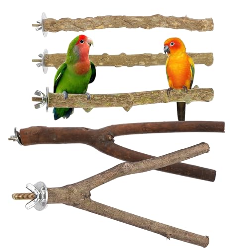 Vueinrg 5 Stück Natur Sitzstangen für Vögel Naturholz Sitzstangen Wellensittich Vogelstangen für Käfig Äste für Vögel Vogelkäfig Zubehör für Nymphensittich Kanarienvogel Papageien von Vueinrg