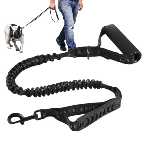 Vuggdt Nylon Leine für Hunde | Stoßdämpfende elastische Hundeleine - Verschleißfeste Hundeleine, hochdichte Haustierleine mit Griff für Training, Laufen von Vuggdt